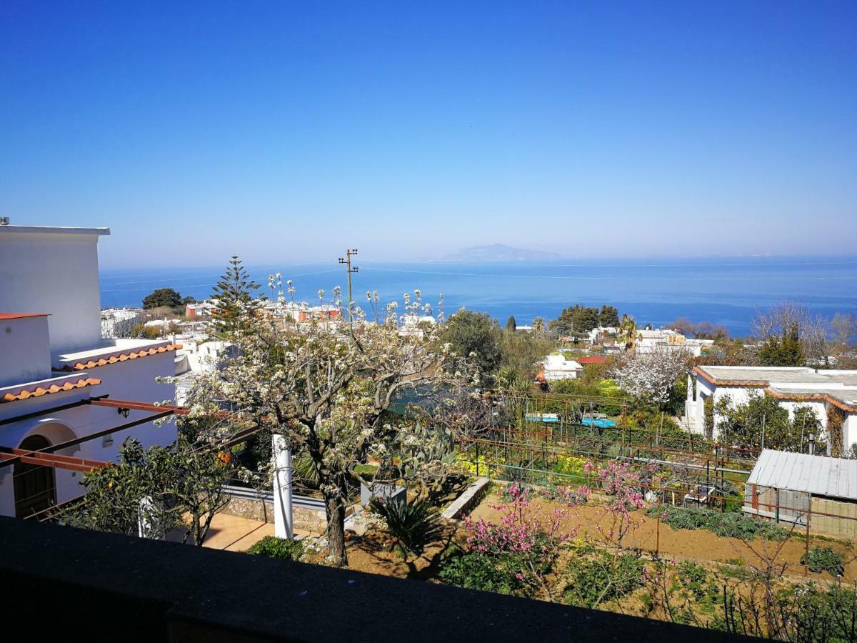 Maryhome Anacapri  Bagian luar foto